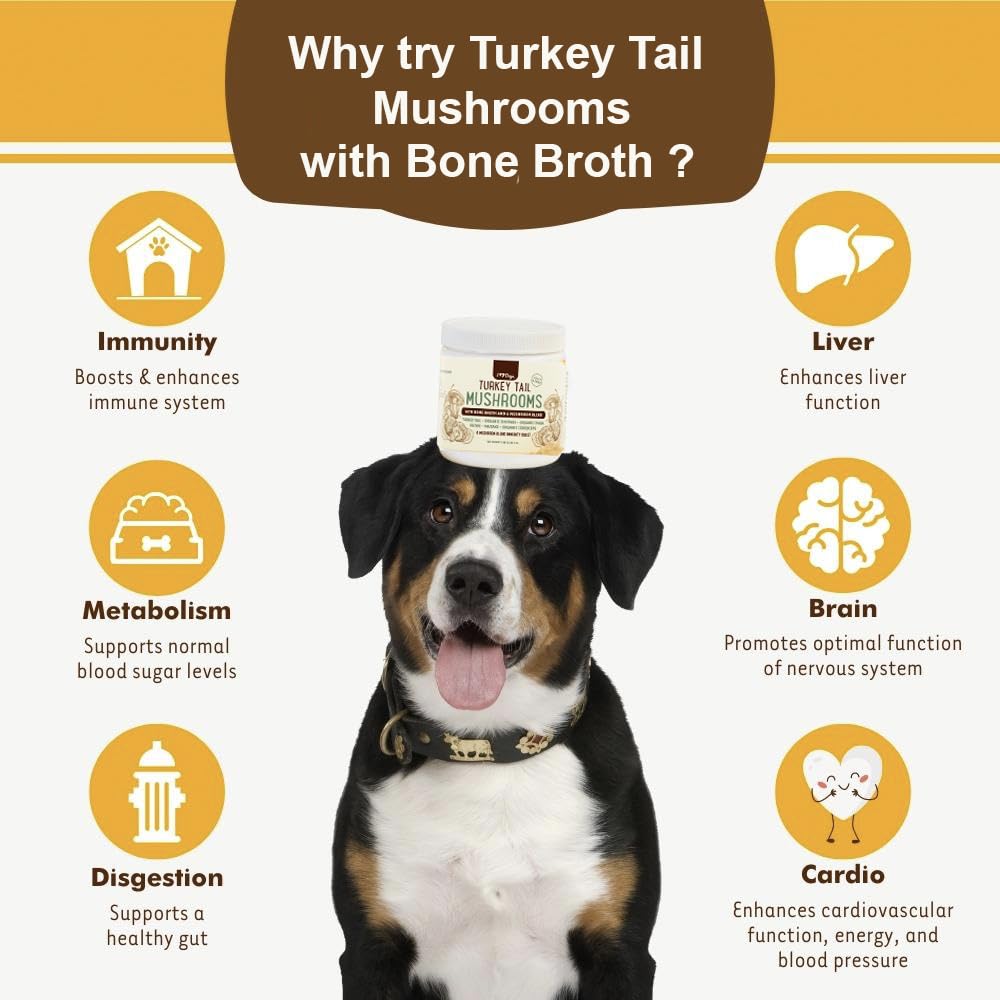 iheartdogs-melange-champignons-bio: mélange biologique de 6 champignons pour le bien-être
