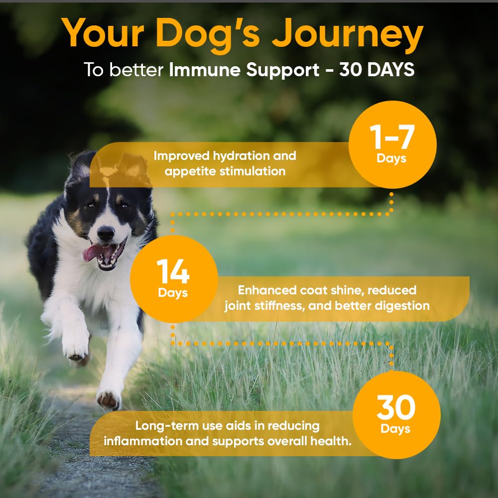 iHeartDogs poudre de collagène chien, soutien potentiel mobilité et pelage