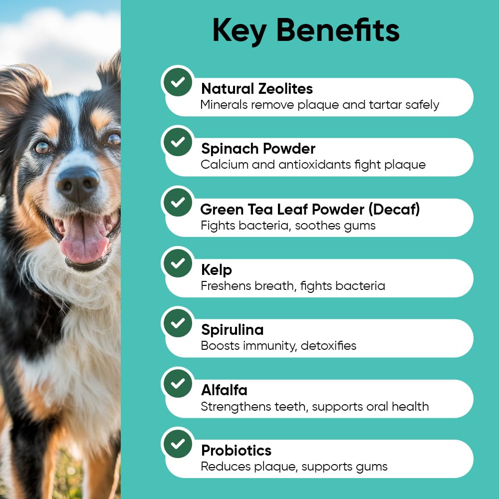 iHeartDogs poudre dentaire — cuillère-dosage incluse pour une distribution facile