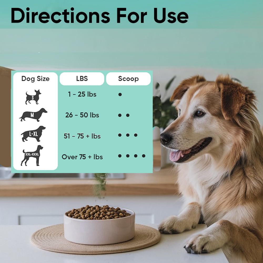 iHeartDogs poudre dentaire — texture fine facilitant l'application