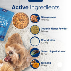 Formulation sans gluten et sans allergènes pour chiens sensibles.