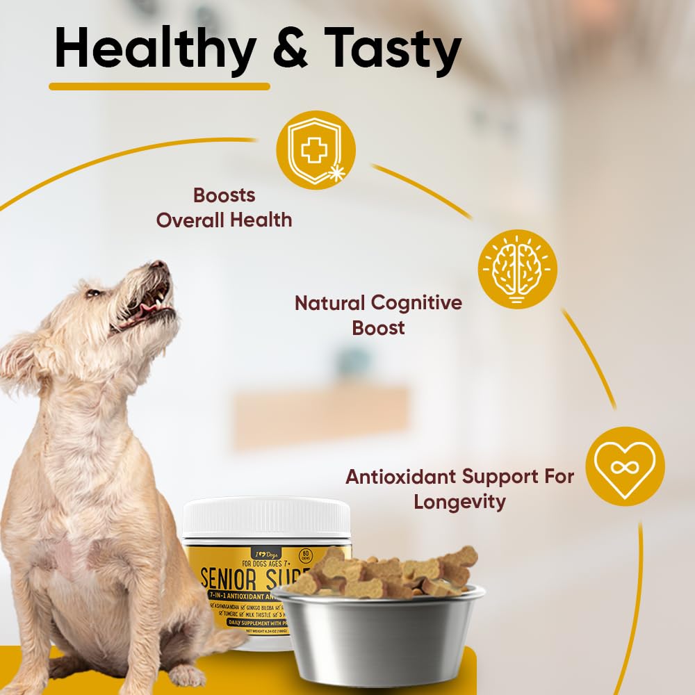 iHeartDogs Senior Super 7 — crinière de lion et curcuma pour le soutien holistique.