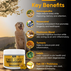 iHeartDogs Senior Super 7 — doseur pratique pour portions quotidiennes.