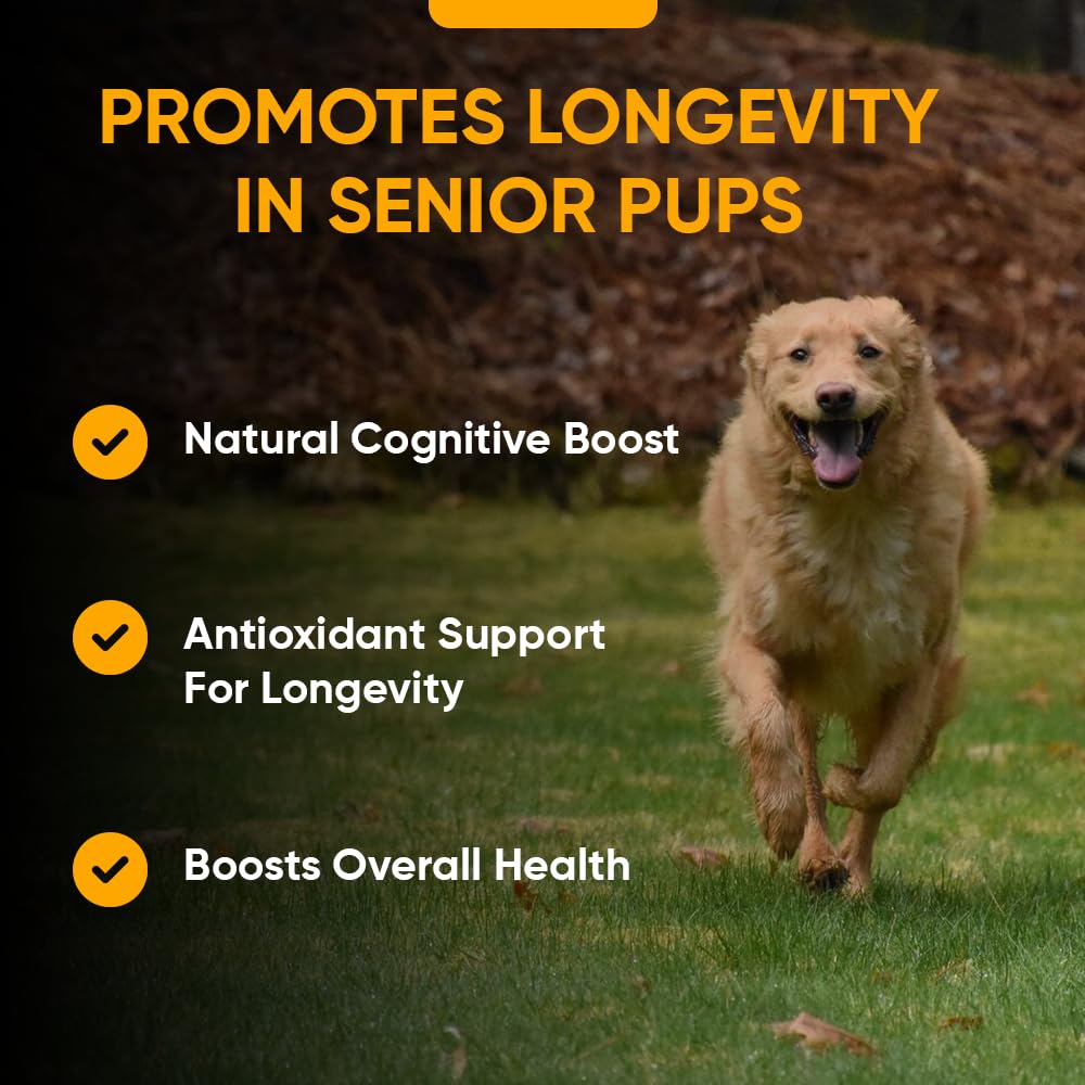 iHeartDogs Senior Super 7 — probiotiques inclus pour digestion et immunité.