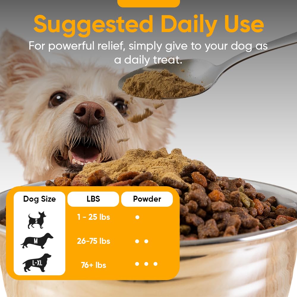 iHeartDogs soutien immunitaire chien, nutriments et champignons inclus