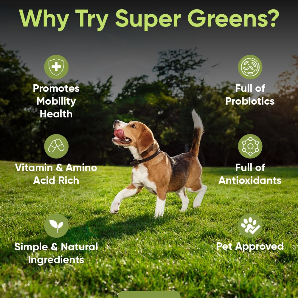 iHeartDogs Super Greens – Epinards inclus, mélange naturel pour vitalité et digestion.