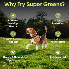 iHeartDogs Super Greens – Epinards inclus, mélange naturel pour vitalité et digestion.