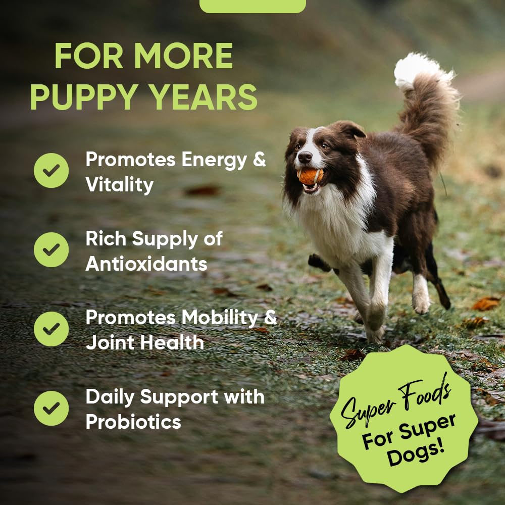 iHeartDogs Super Greens – Germe de brocoli, soutien potentiel à la détox et à l'immunité.