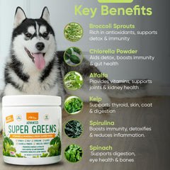 iHeartDogs Super Greens – Poudre facile à mélanger, soutien immunitaire et énergie.