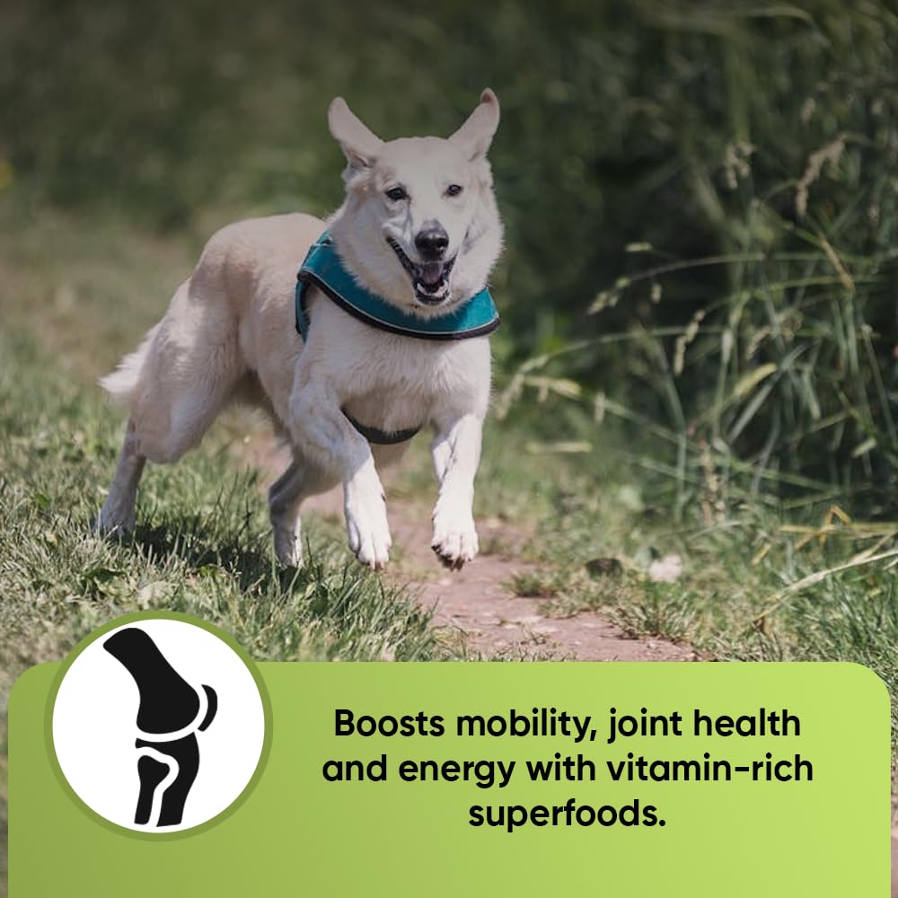iHeartDogs Super Greens – Spiruline ajoutée, antioxydants pour le bien-être quotidien.