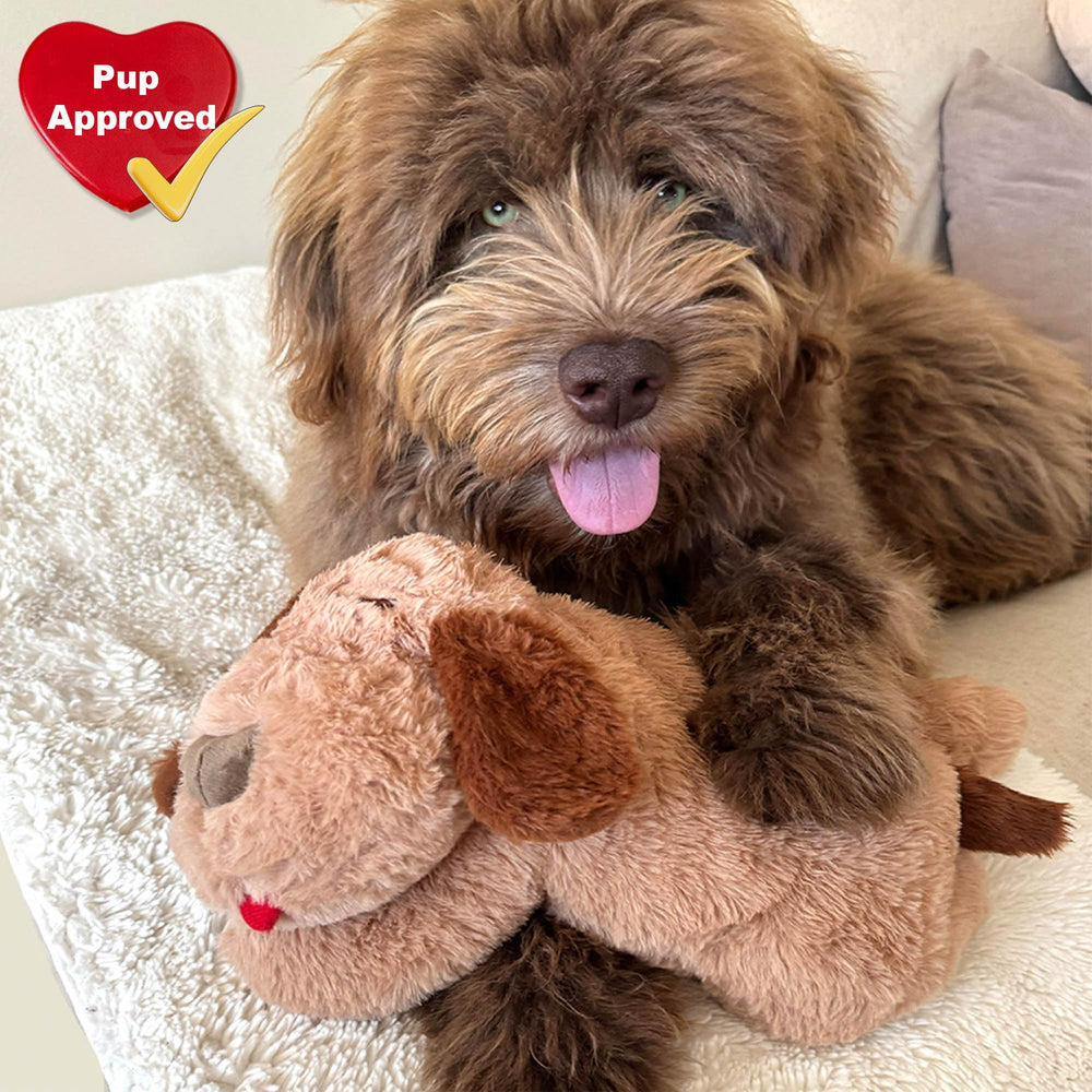 iHeartDogs peluche taille 16x12 adaptée aux câlins