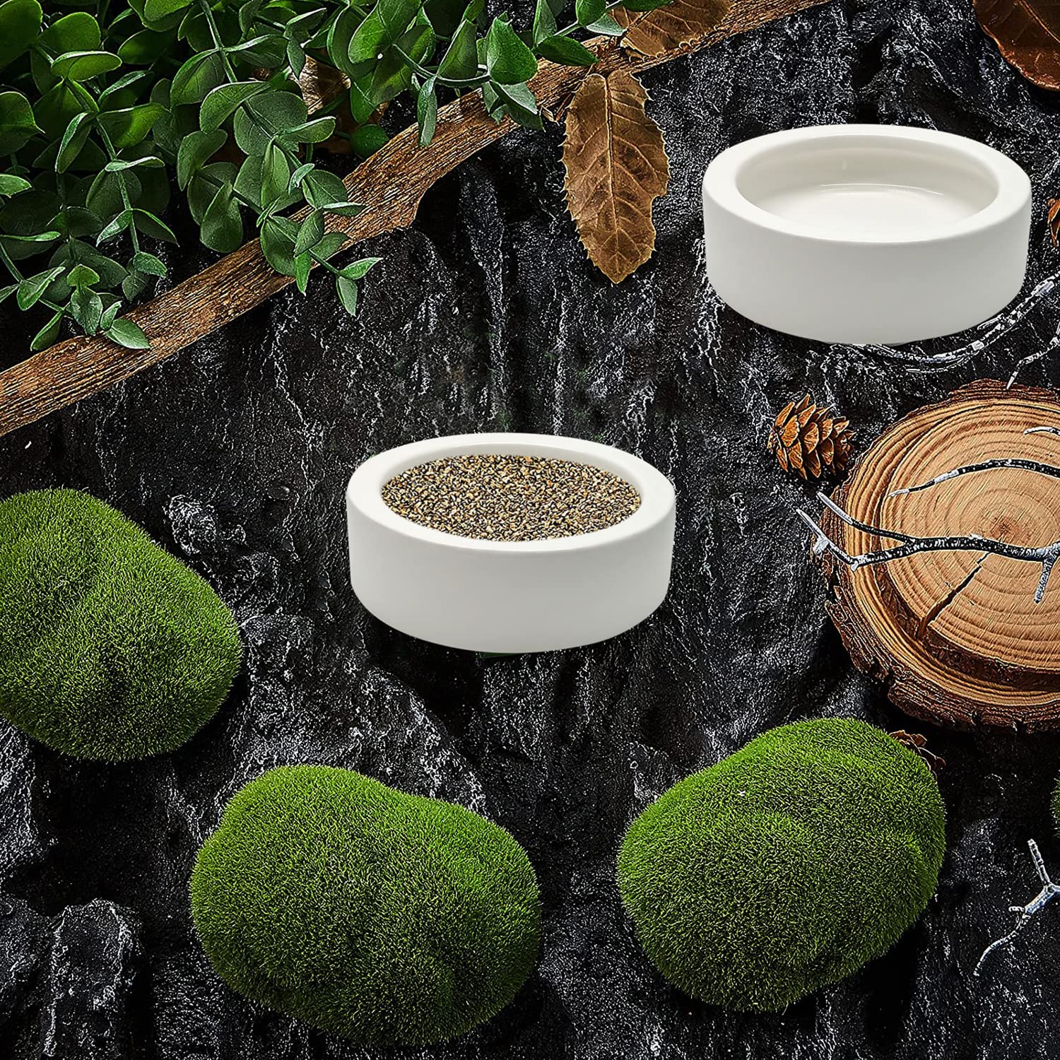 iHomeSet emballage des bols reptiles, prêt à utiliser.