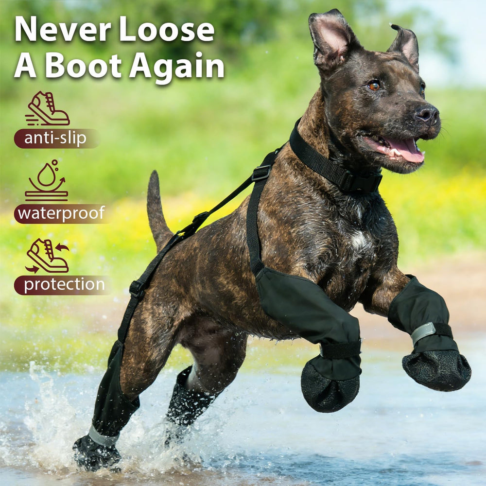 Bottes IKIPUKO pour chien – étanche contre boue et terrains difficiles.