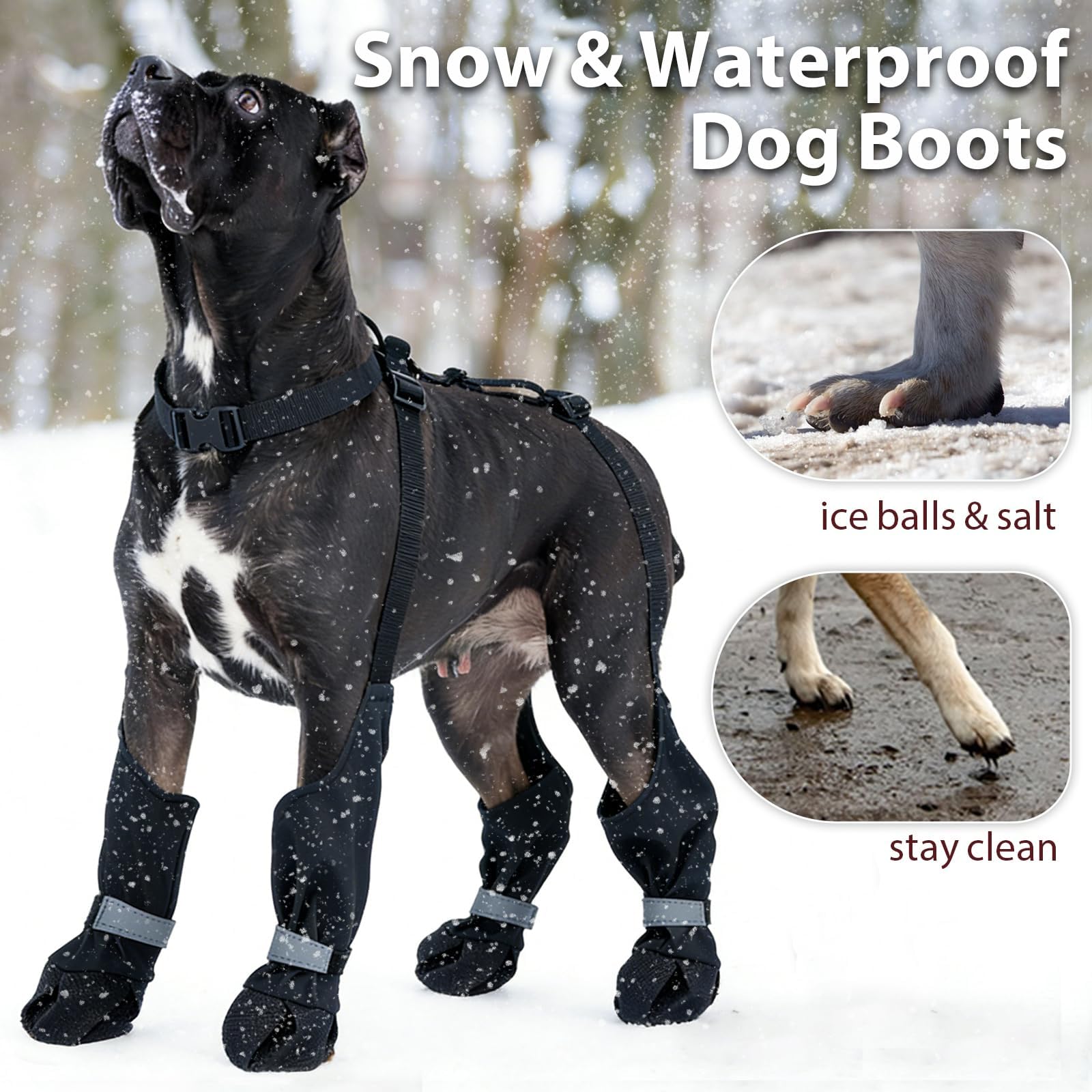 Bottes IKIPUKO imperméables protégeant les pattes du chien sous la pluie.