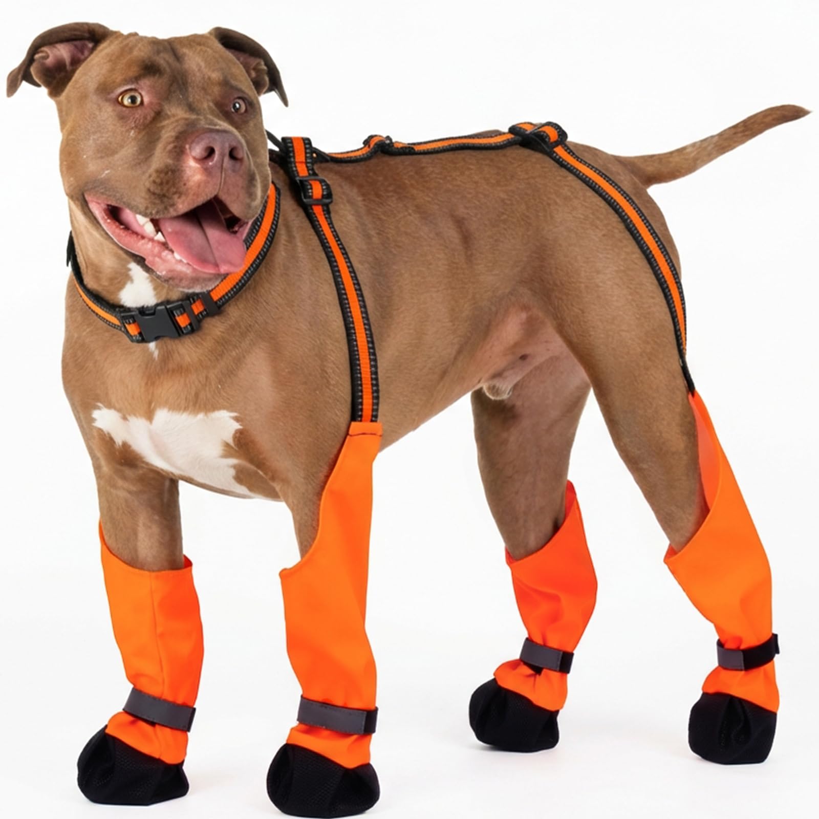 Bottes suspendues IKIPUKO pour chien en hiver, assurant chaleur et maintien.