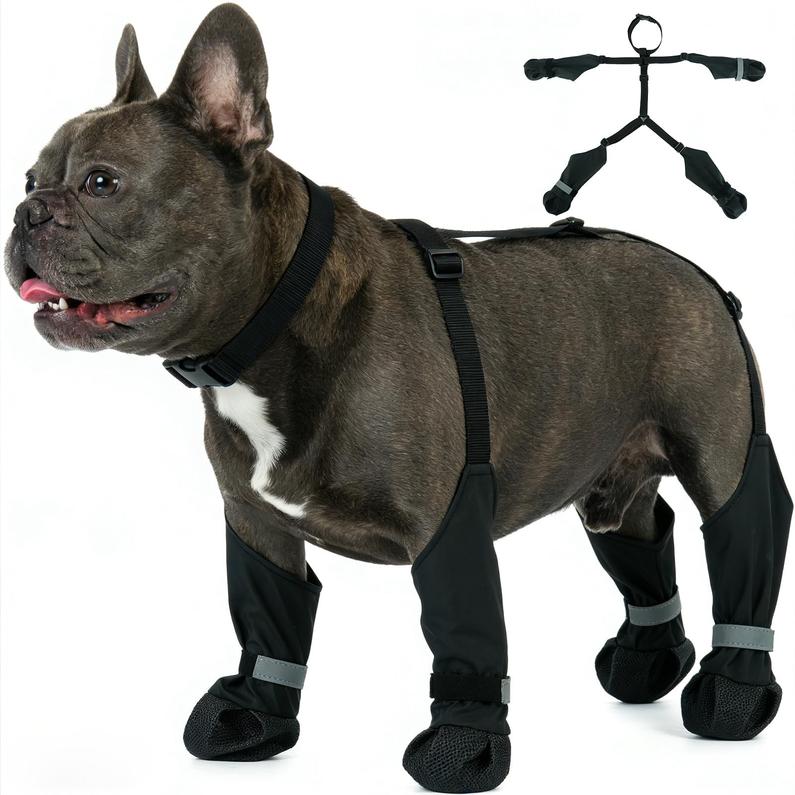 IKIPUKO bottes suspendues chien hiver avant: maintien sûr lors des jeux d'extérieur