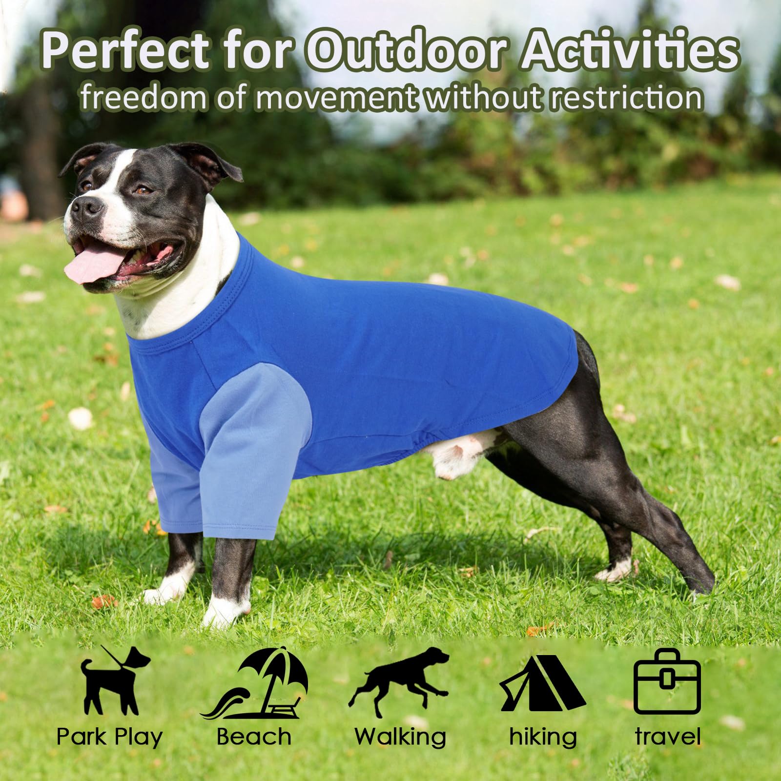 IKIPUKO T-shirt chien manches longues — protection contre égratignures et insectes.