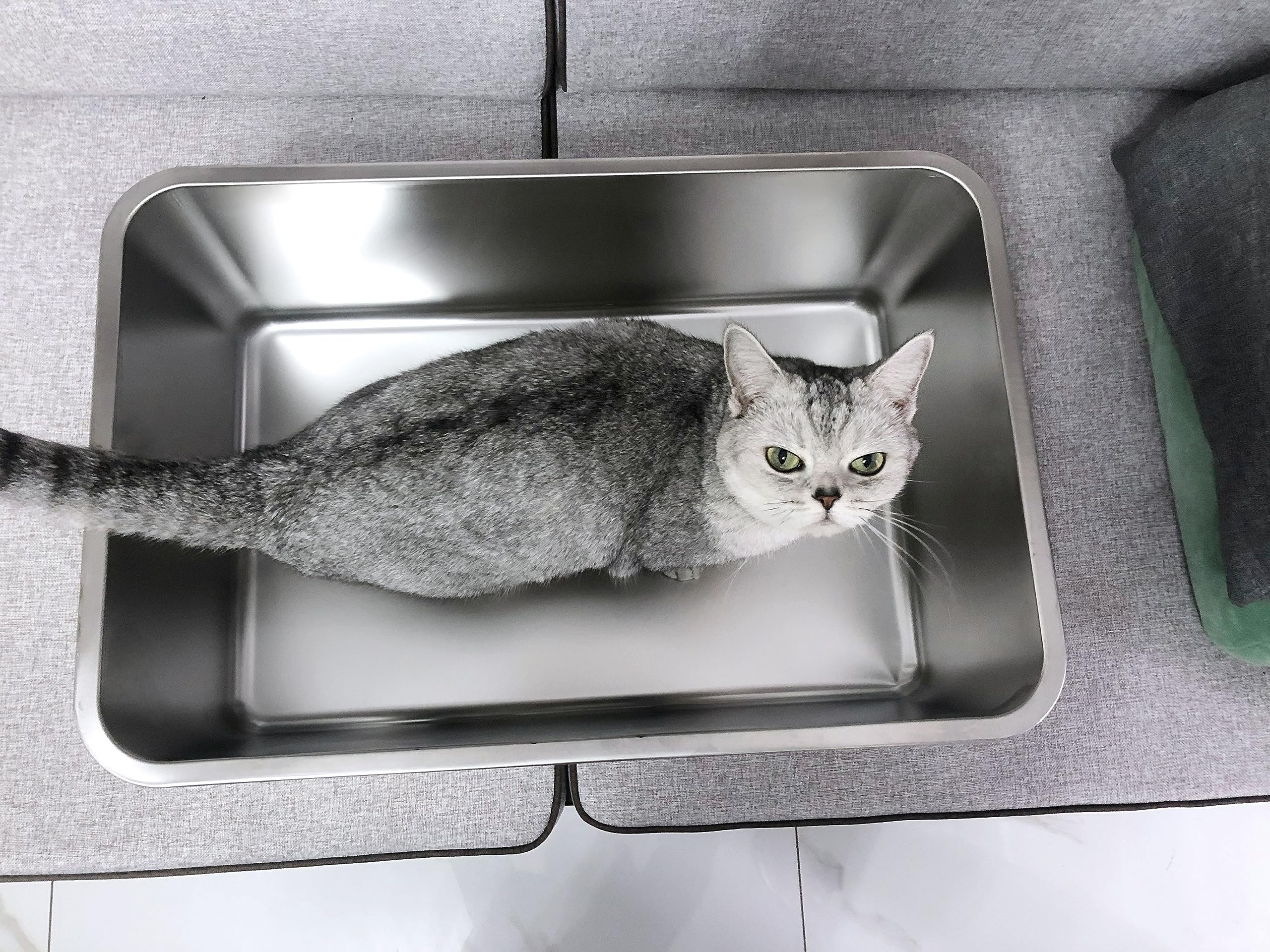 Grand bac IKITCHEN, espace suffisant pour chats de taille moyenne.