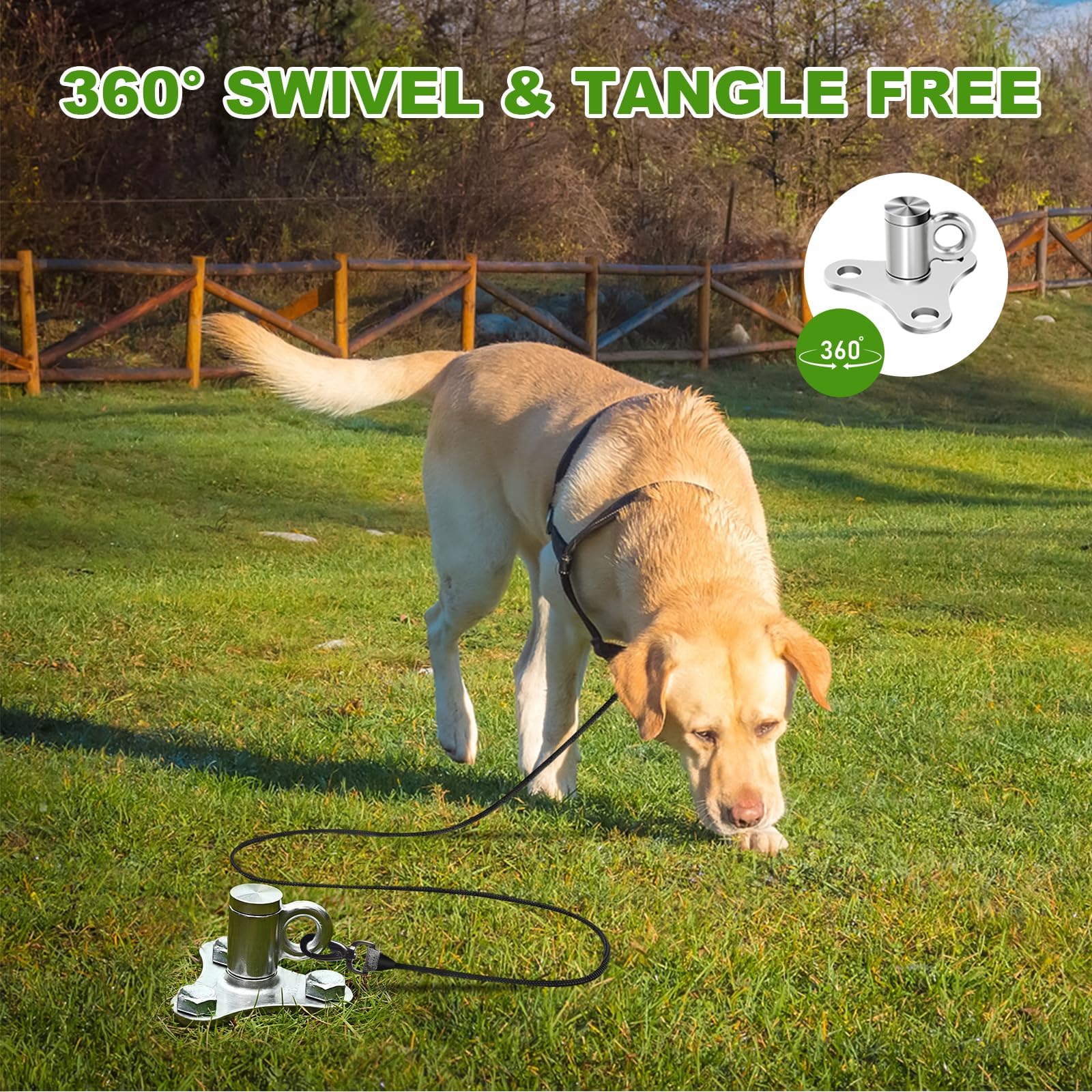 anneau pivot monobloc résistant, rotatif et sûr pour chien actif.
