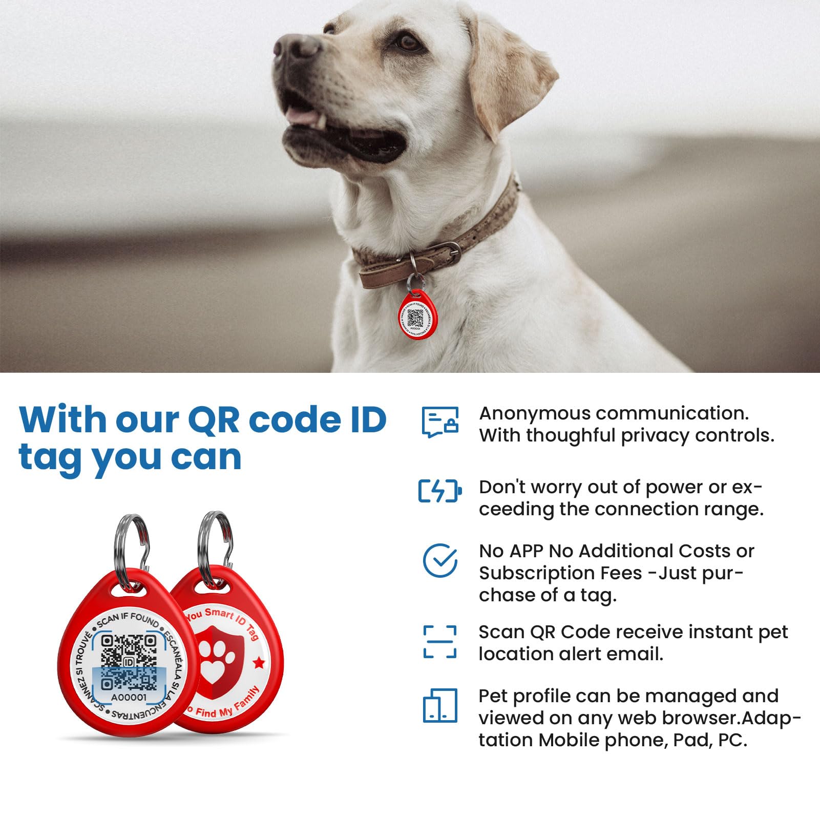 IlFindYou dog-tags attache-collier : fixation simple sur le collier