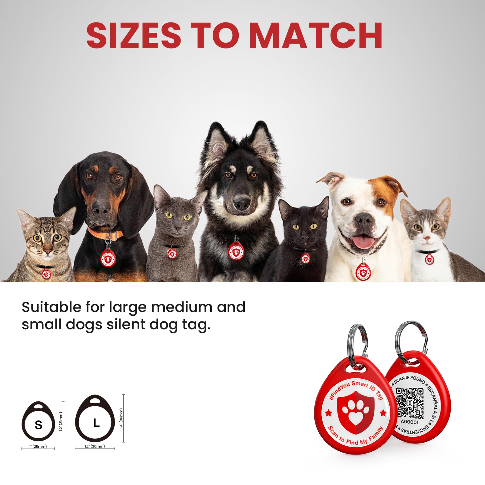 IlFindYou dog-tags profil-en-ligne : connexion rapide au profil du chien