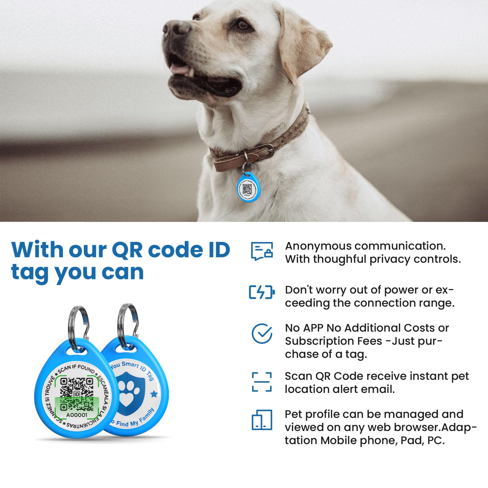 ILFINDYOU étiquette identifiant chien avec profil en ligne accessible.