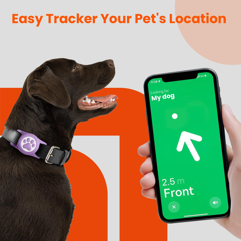 Protection 360° ILFINDYOU AirTag sur collier chien violet, résistante aux chocs et poussière