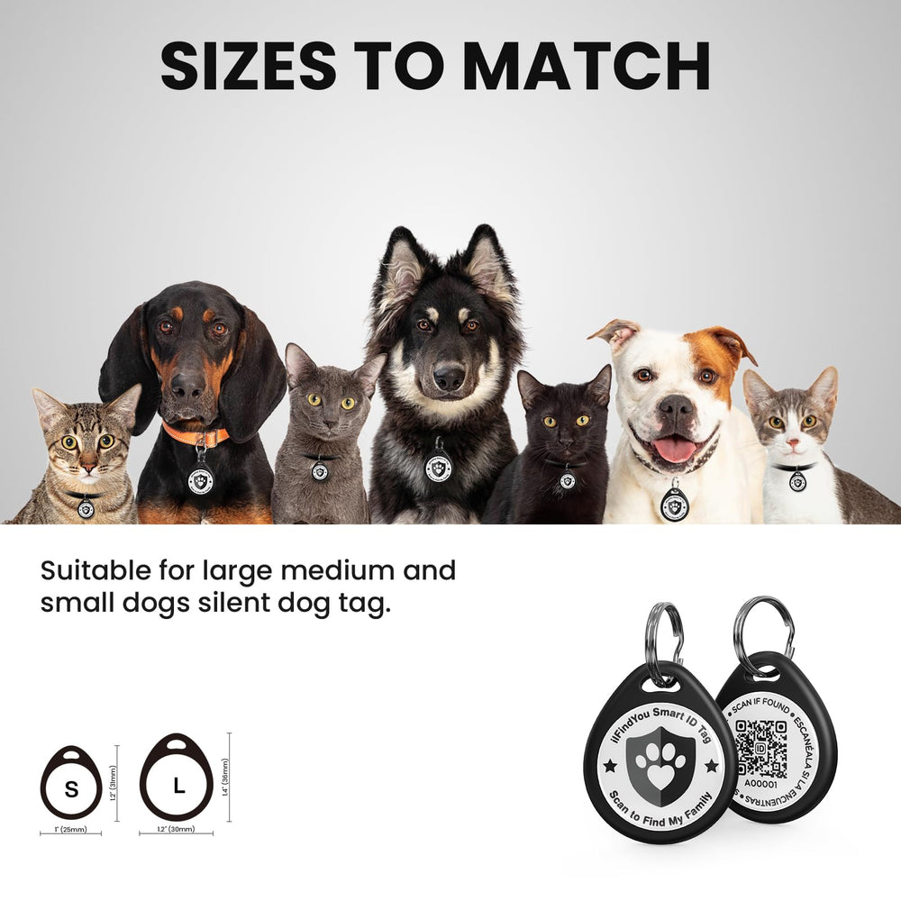 IlFindYou profil en ligne pour chien, informations utiles consultables rapidement.
