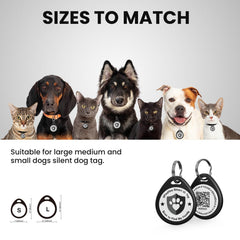 IlFindYou profil en ligne pour chien, informations utiles consultables rapidement.
