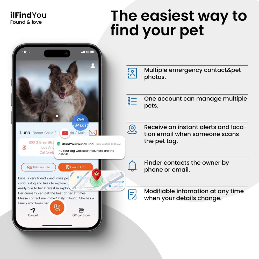 ILFINDYOU profil en ligne pour chien avec informations essentielles.