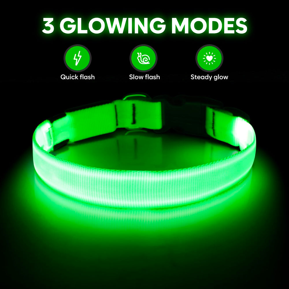 Illumifun collier-chien LED rechargeable via USB, pratique pour les sorties prolongées.