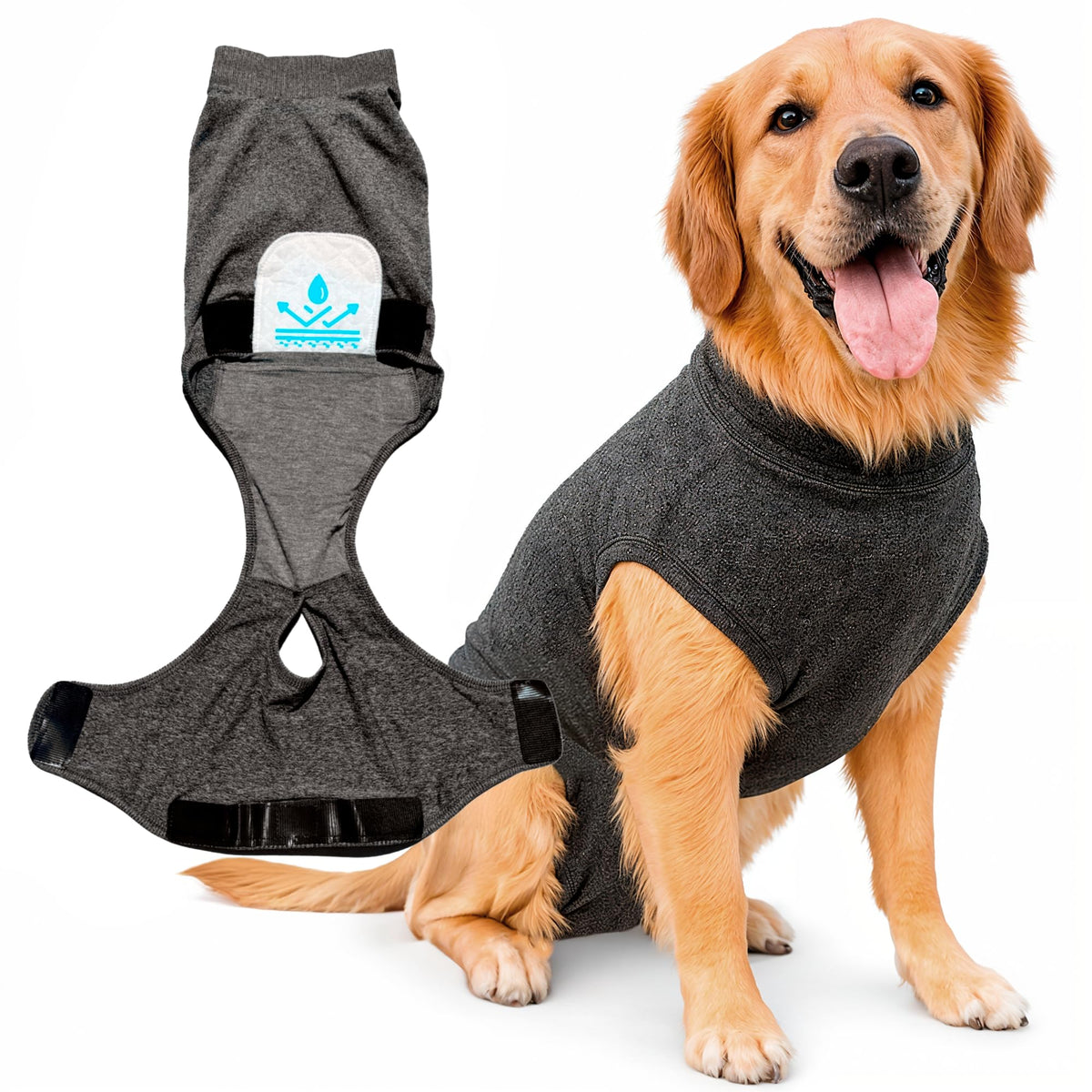 iLVYA combinaison récupération chien — avant XL gris, confort et ajustement généreux