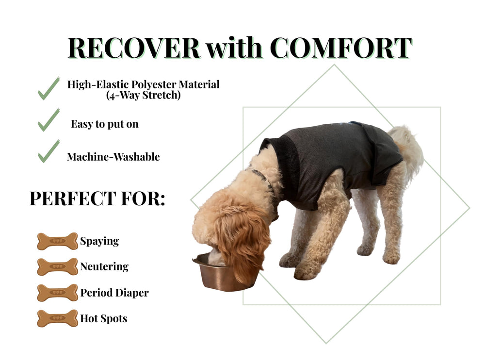 iLVYA combinaison récupération chien — dos XL gris, protection des incisions
