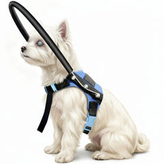 LetPetRun Adjustable Blind Dog Halo Harness – Safe Guiding Collar (7.5–9.5in)