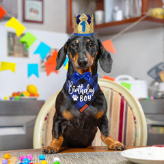 Chapeau anniversaire doré ADOGGYGO avec chiffres ajustables pour marquer l'âge.
