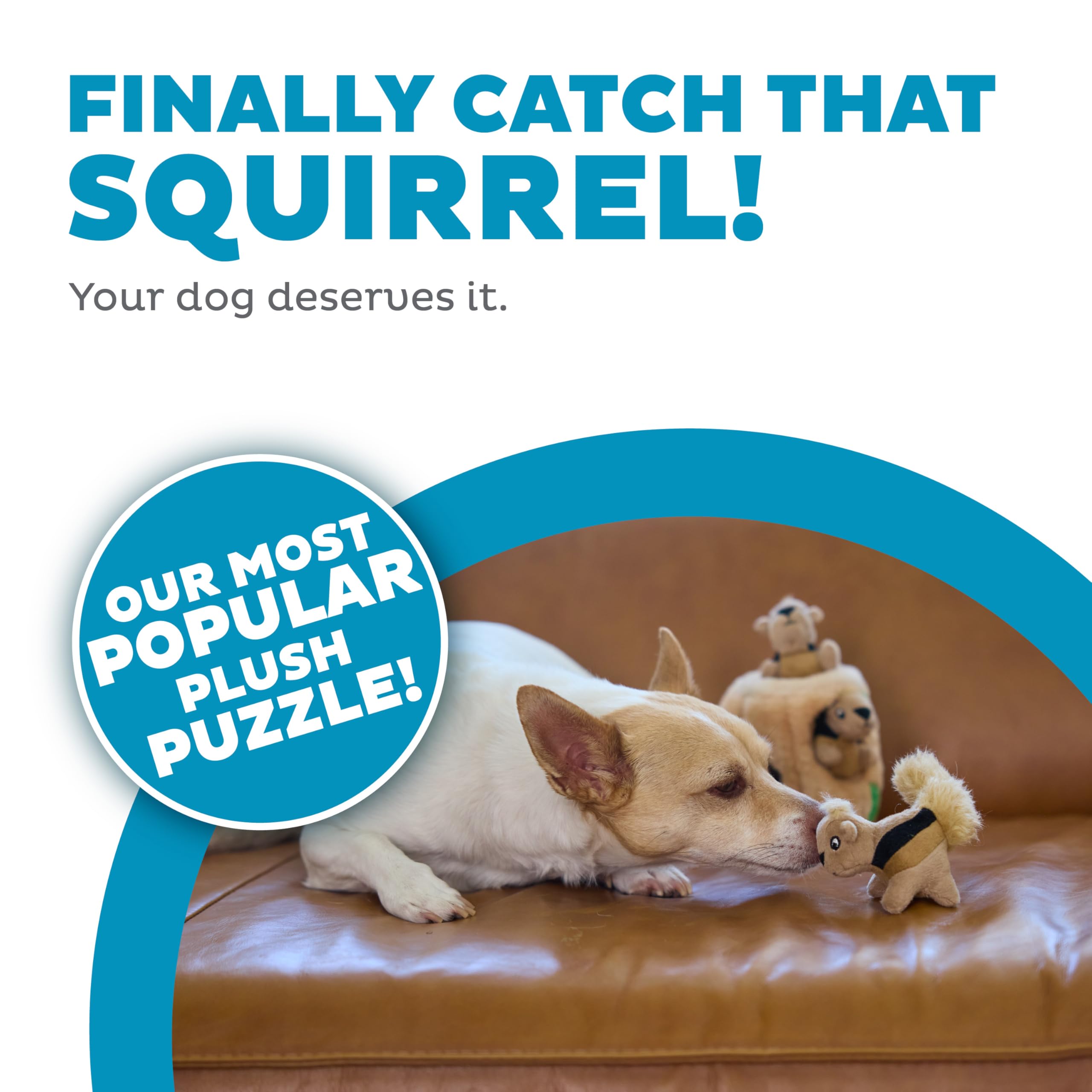 Outward Hound Hide-A-Squirrel – Jouet puzzle peluche 2-en-1 pour chien (Petit) avec 3 écureuils sifflants