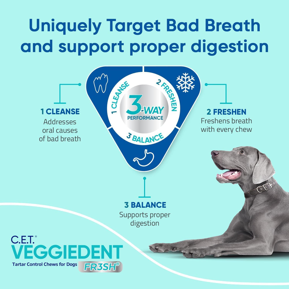 Pack 8oz Virbac VEGGIEDENT FR3SH, format pratique pour petit chien actif
