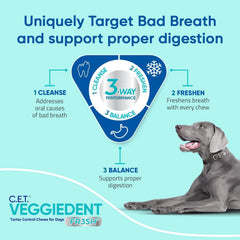 Pack 8oz Virbac VEGGIEDENT FR3SH, format pratique pour petit chien actif