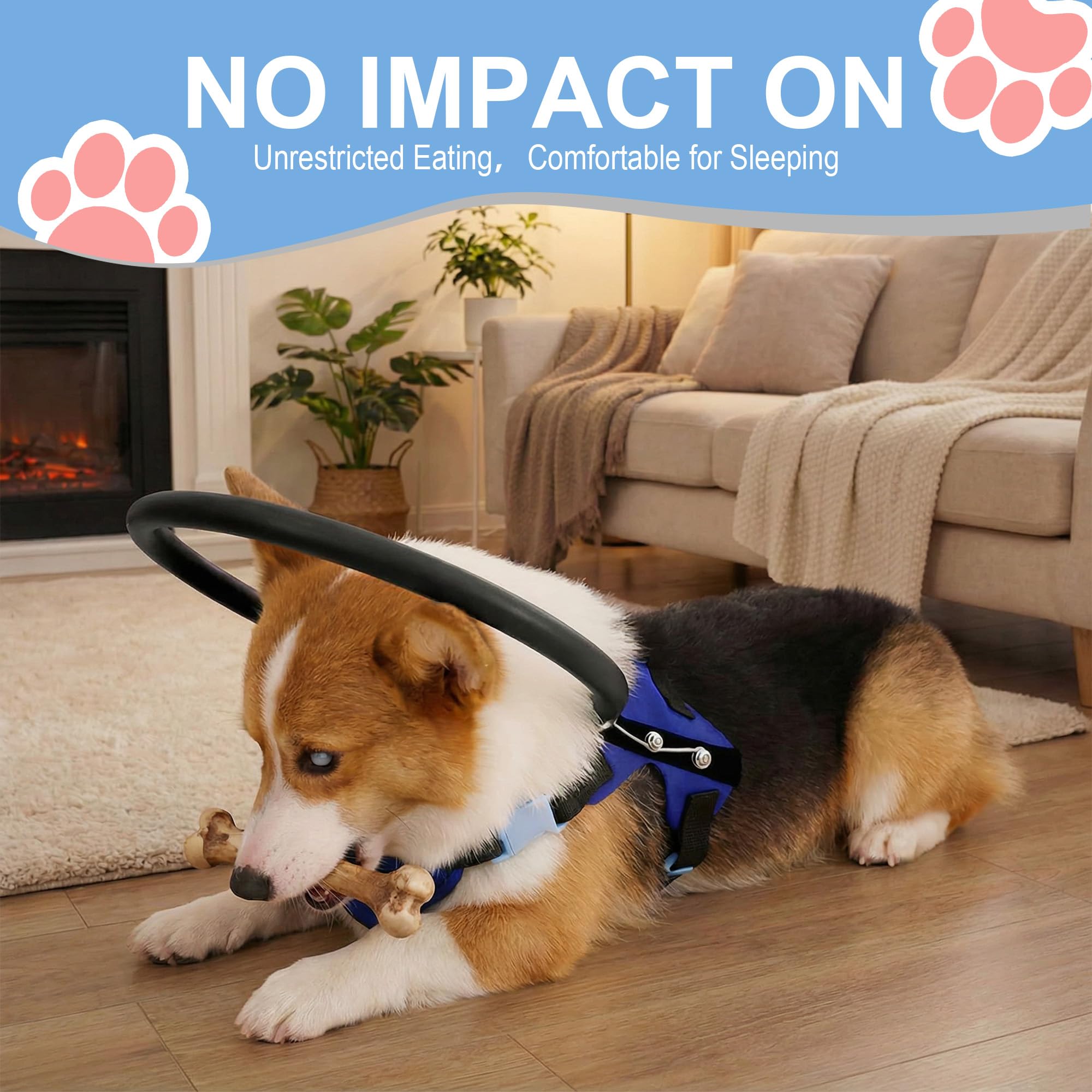 LetPetRun Adjustable Blind Dog Halo Harness – Safe Guiding Collar (7.5–9.5in)