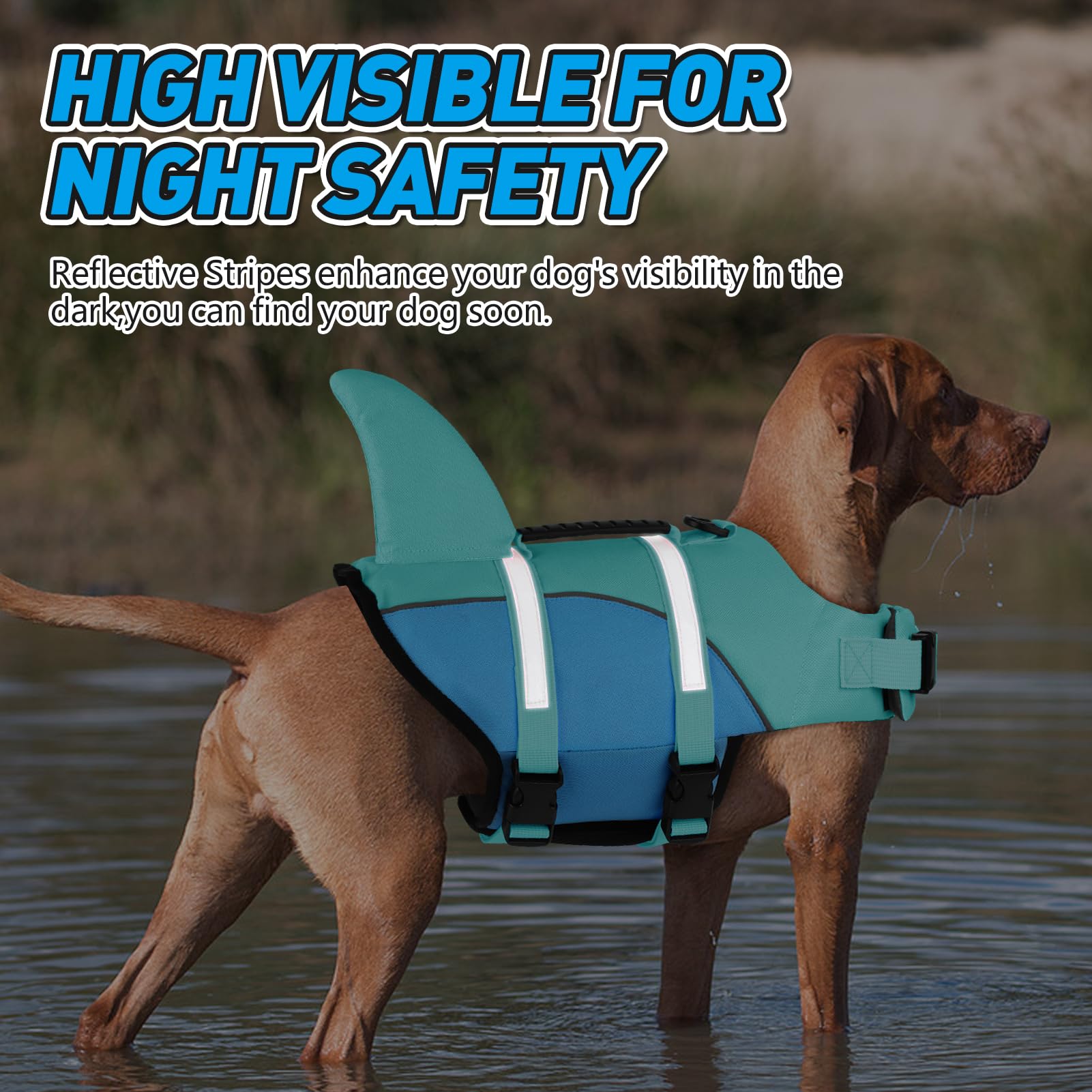 Doglay Gilet de Sauvetage Chien Requin – Haute Flottaison, Poignée de Secours, Ajustable