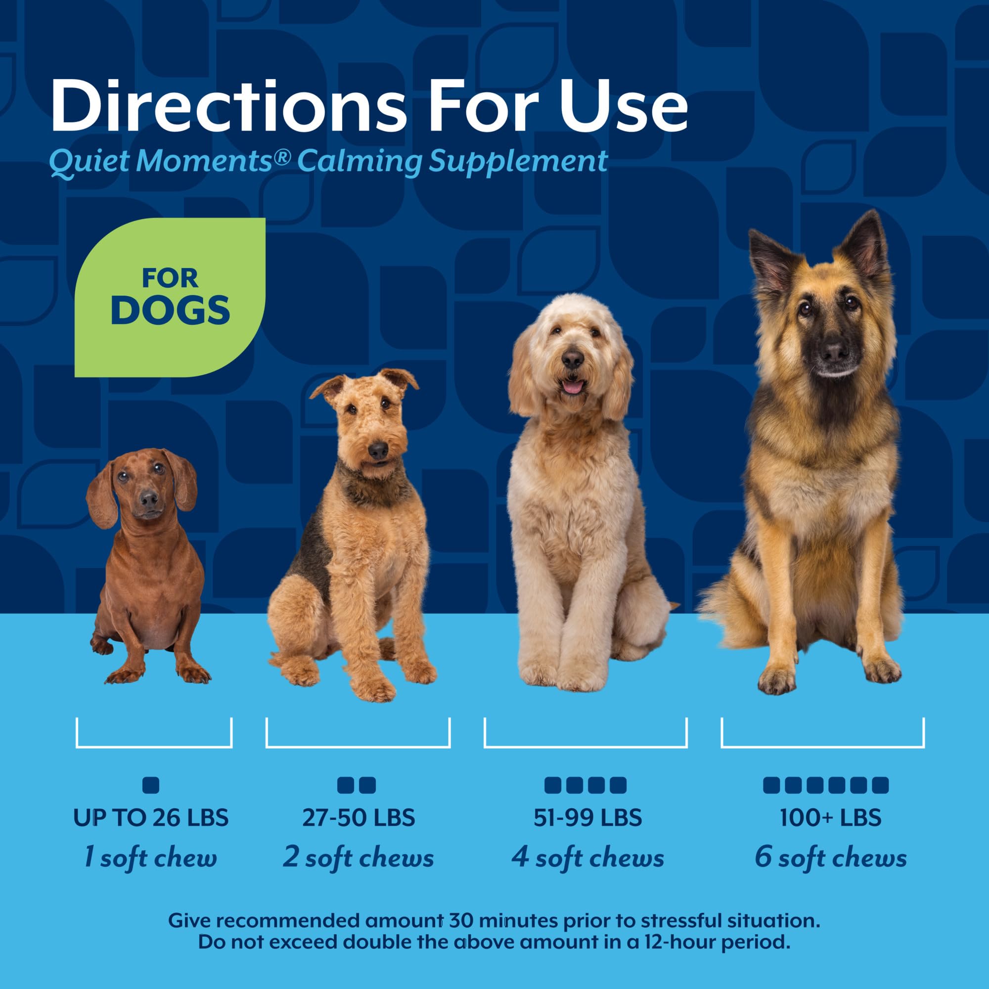 NaturVet Moments-Calmes pour Chien : Friandises Molles Calmantes à la Mélatonine – Pot de 180 Bouchées