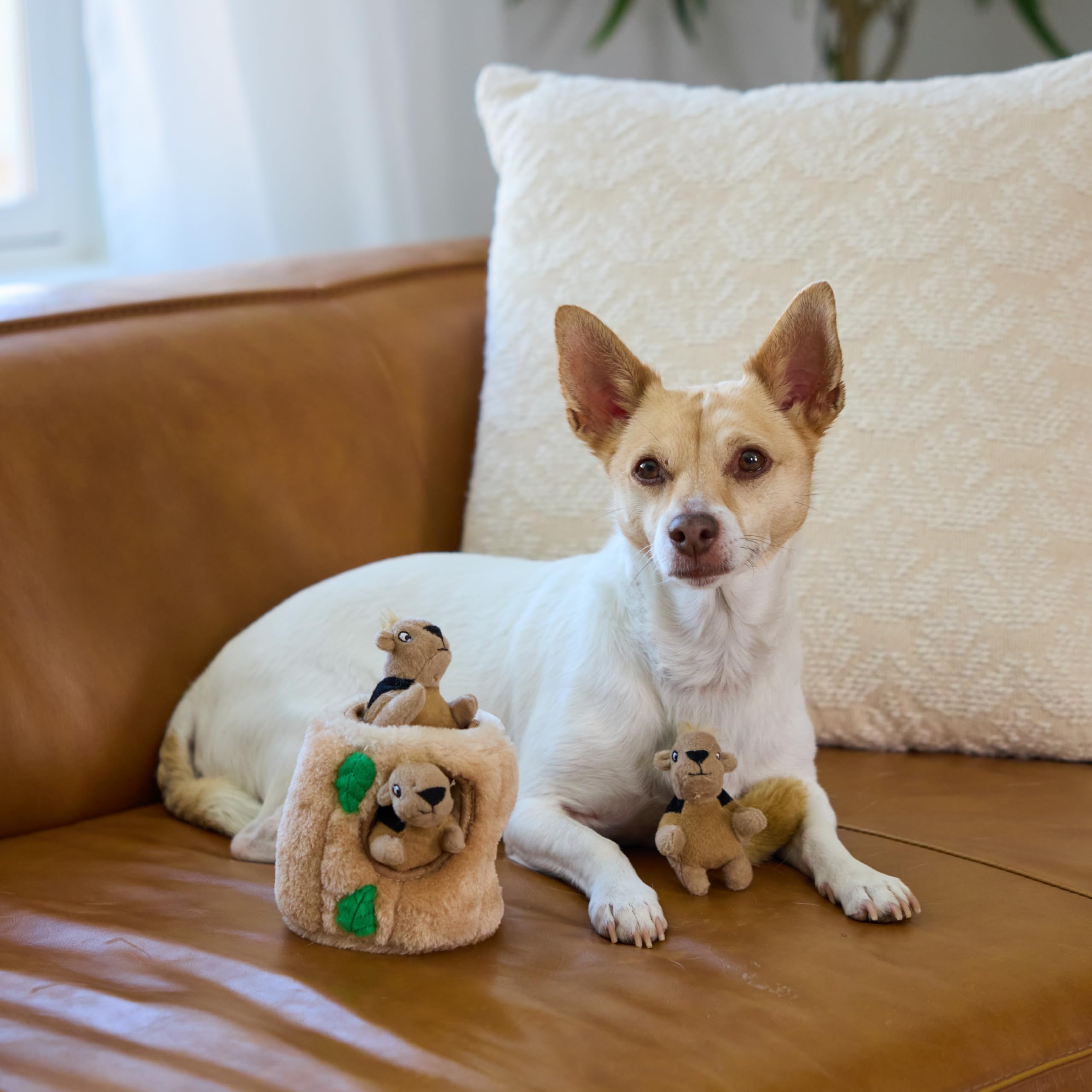 Outward Hound Hide-A-Squirrel – Jouet puzzle peluche 2-en-1 pour chien (Petit) avec 3 écureuils sifflants