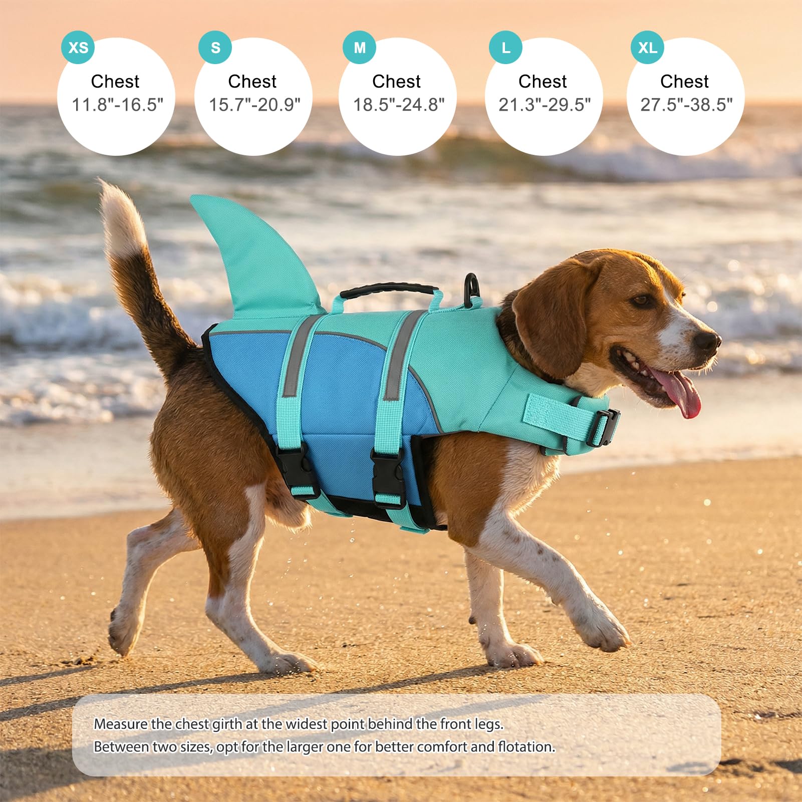 Doglay Gilet de Sauvetage Chien Requin – Haute Flottaison, Poignée de Secours, Ajustable