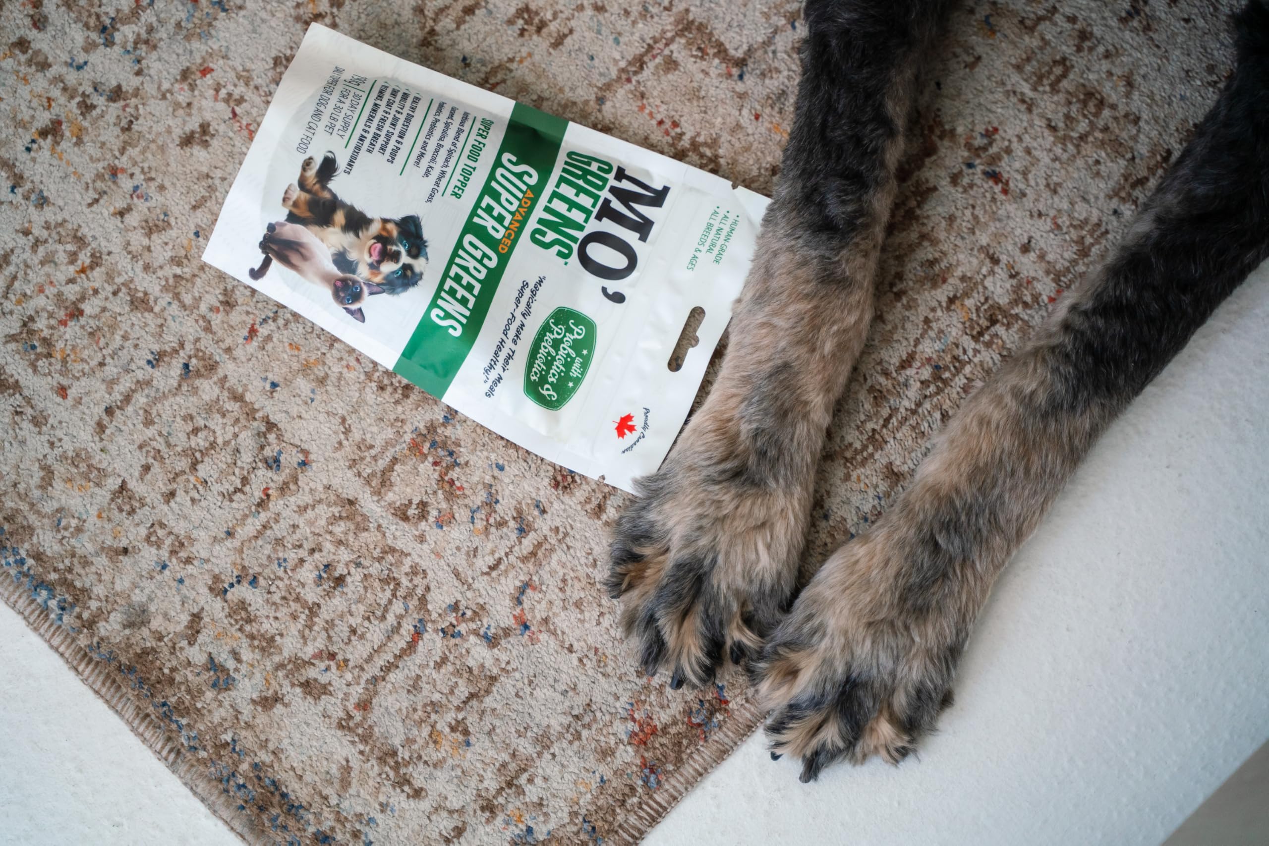 Mo' Greens – Complément alimentaire pour chiens et chats: Probiotiques, Digestion et Mobilité, 6,7 oz