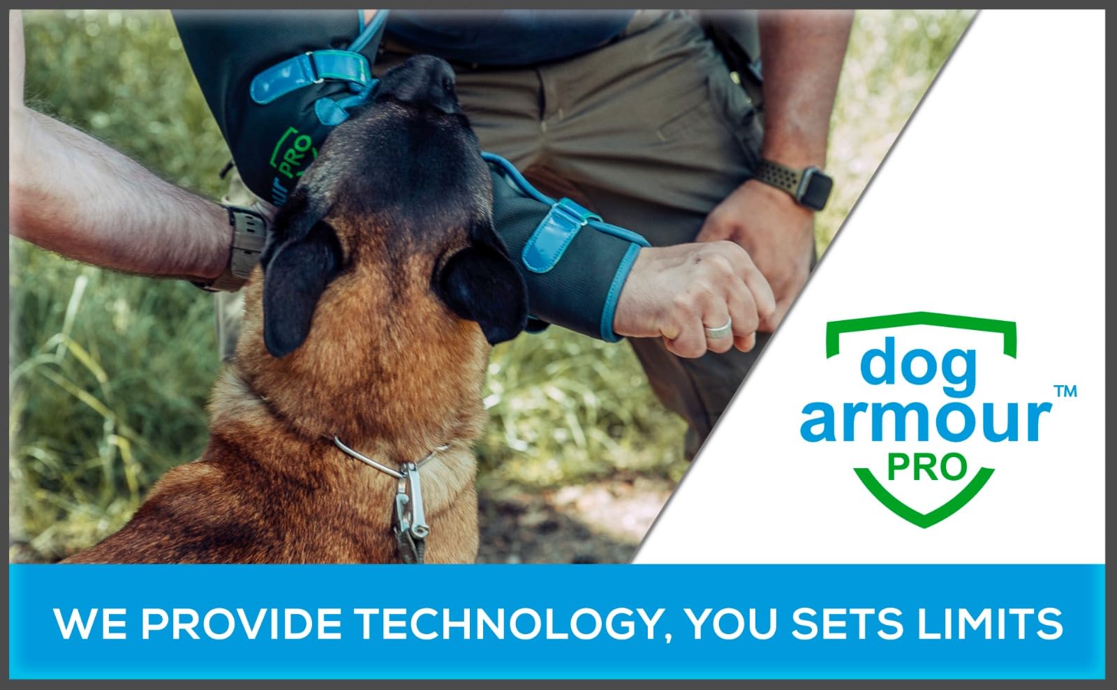 Dog Armour Pro Harnais Protecteur pour Chiens – Étanche, Réfléchissant, Taille M Jaune