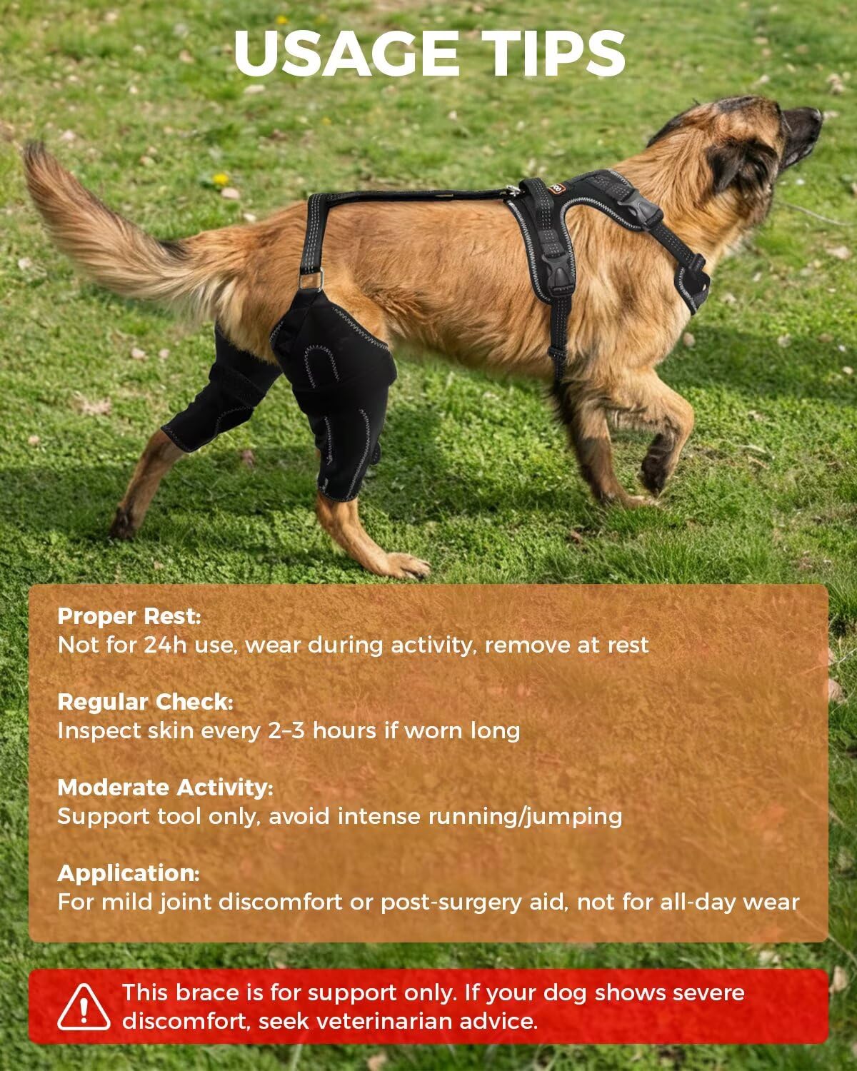 LISPOO Attelle Genou Chien – Soutien arrière ajustable pour luxation patellaire et déchirure ligamentaire, taille M (pour les deux pattes)
