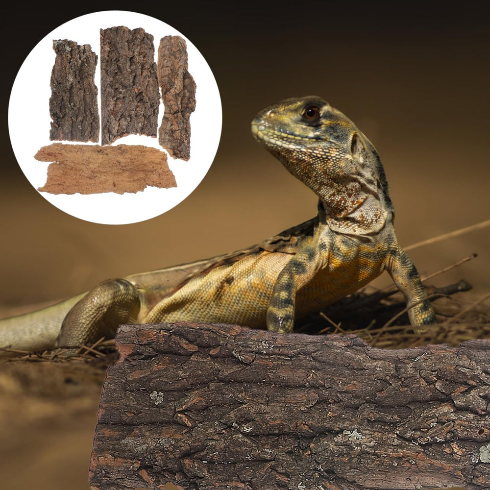Structure robuste IMIKEYA, résistante aux explorations des petits reptiles