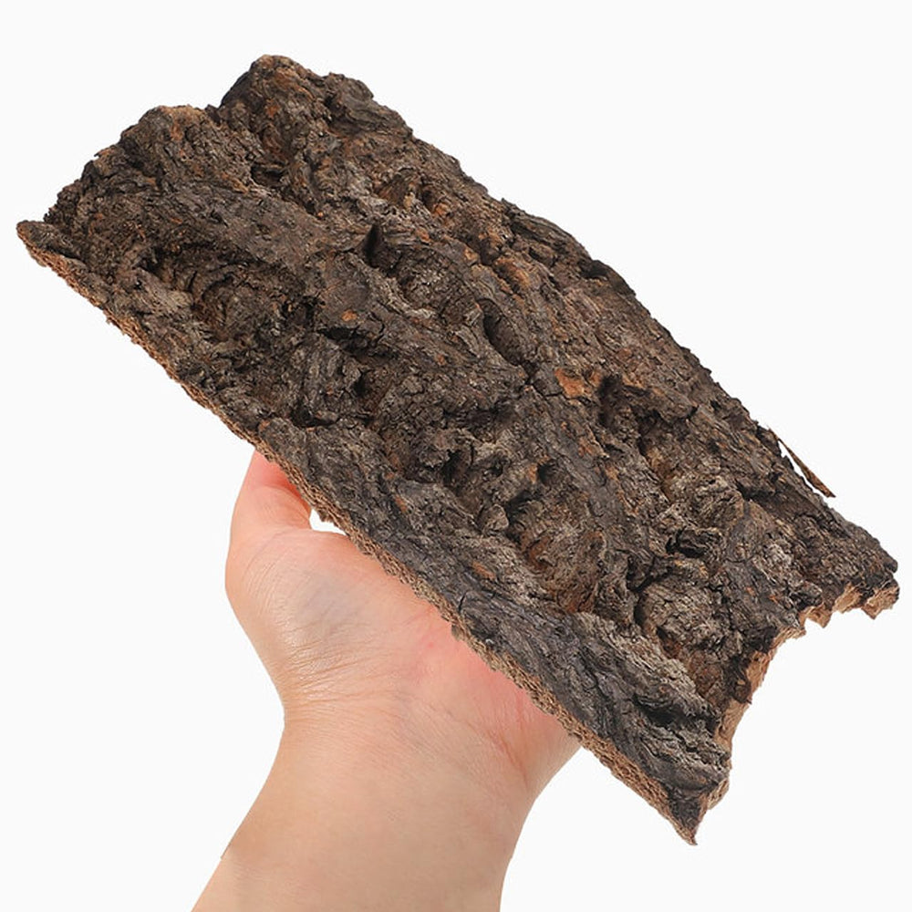 Écorce décorative naturelle IMIKEYA, compatibilité terrarium tortue et gecko