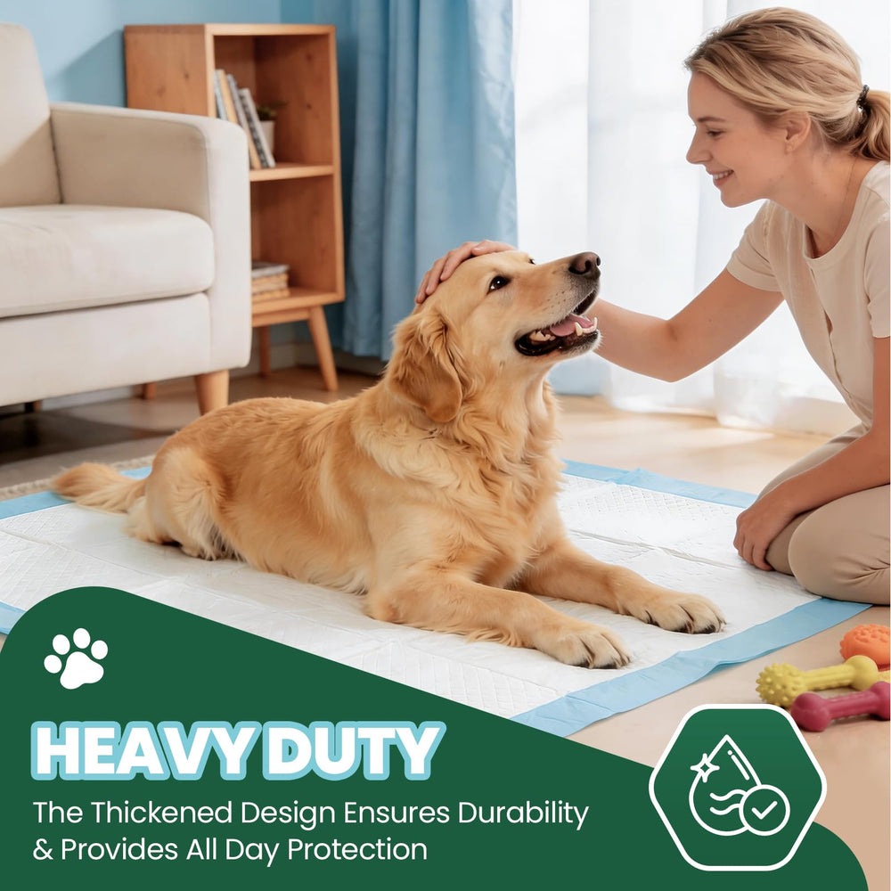 IMMCUTE pad multi-couches: durabilité renforcée pour l'entraînement quotidien.