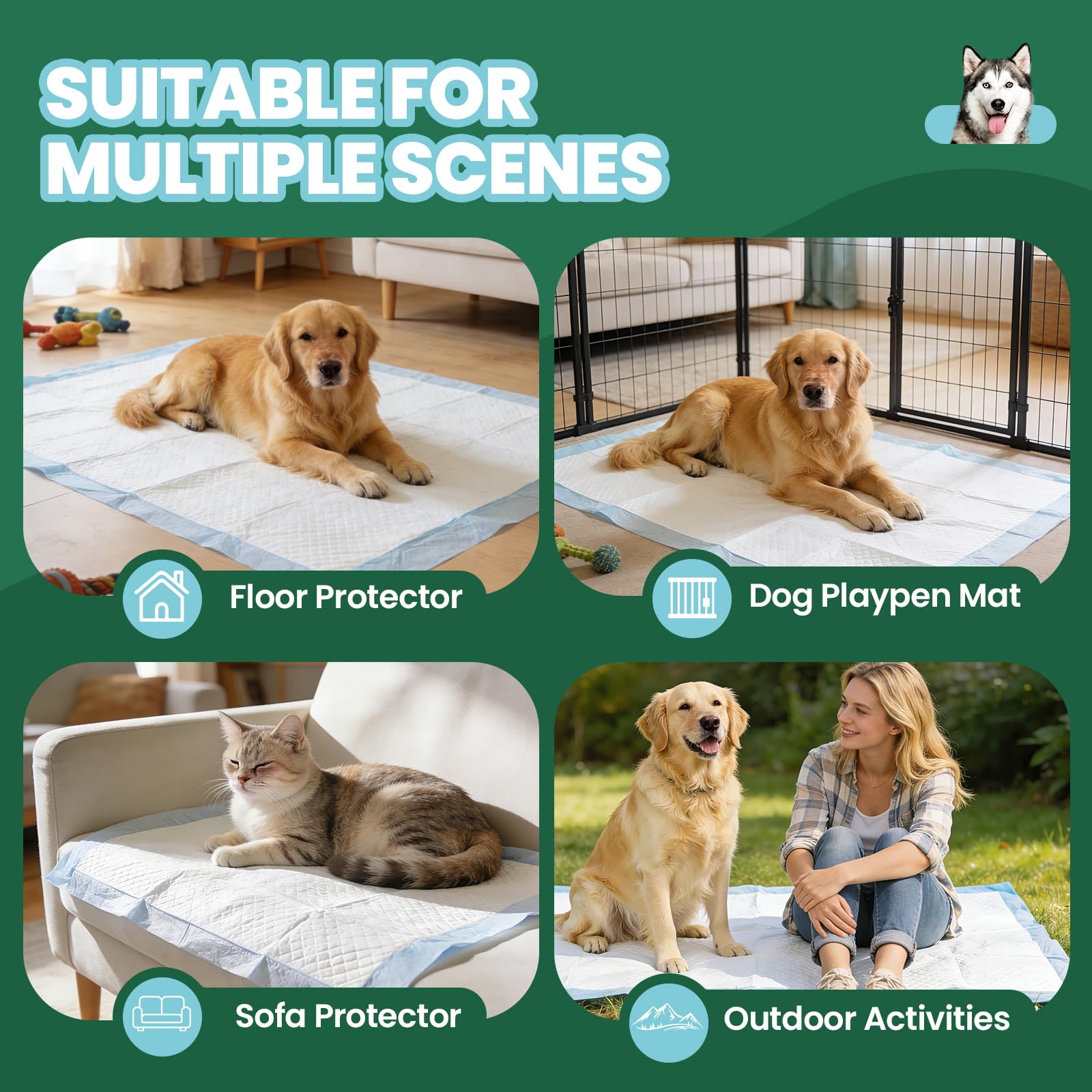 IMMCUTE grand format 30x36: adapté à toutes les races et usages intérieurs.